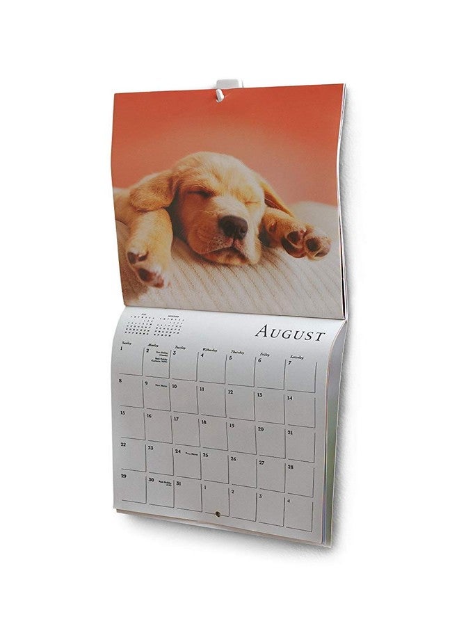 كوماند خطافات صغيرة Command 3M 17066Anz (أبيض، 3 خطافات و4 شرائط) - عبوة من 3 قطع - Image 3